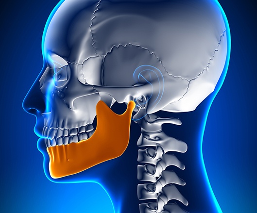 Animated rendering of jaw an skull bone connections
